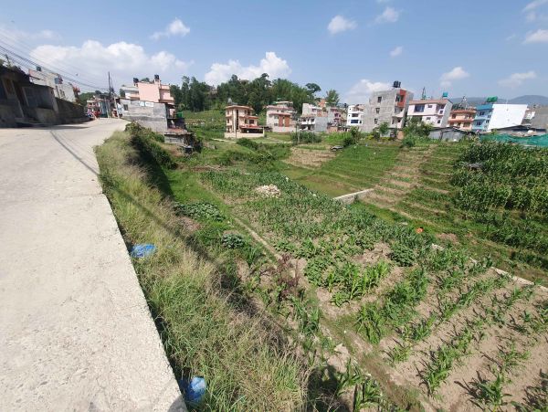 LAND FOR SALE IN THAIBA,LALITPUR @ NPR 21 LAKH