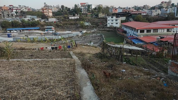 Land For Sale Hattigauda - Khadka Bhadrakali