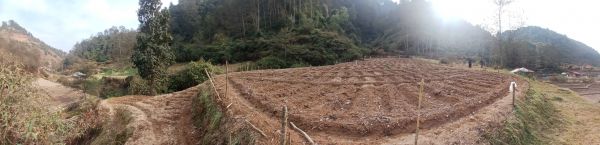 Land For Sale near Ashapuri Temple Suryabinayak