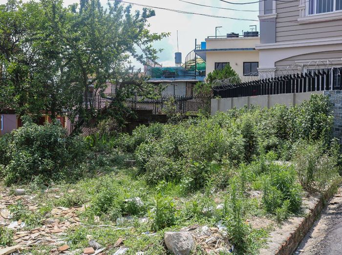 4 aana Land for Sale on Pitched Road at Golfutar