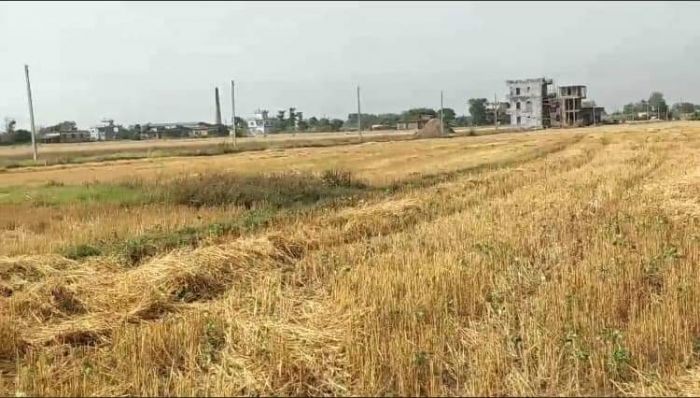 (Ghaderi Bikri Butwal Farsatiket Ma )Dedh Kattha Land on Sale in Farsatiket Butwal