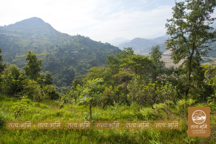 3 Ropani land for sale Katheri, Nuwakot.