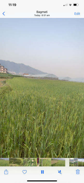 Godavari  Single plot 26 Anna, Land for sale - Negotiable