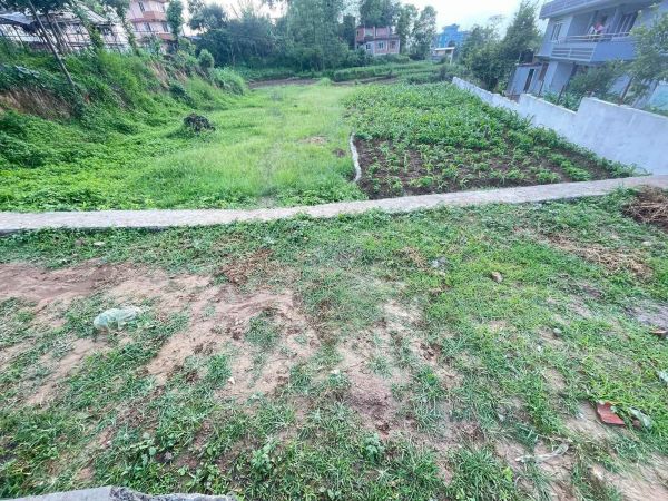 Cheap 22Aana Flat Land sale at Near Muktinath Temple only 13Lakh/Aana, Contact 9860058707