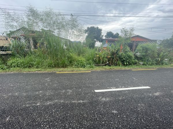 Land with house sell