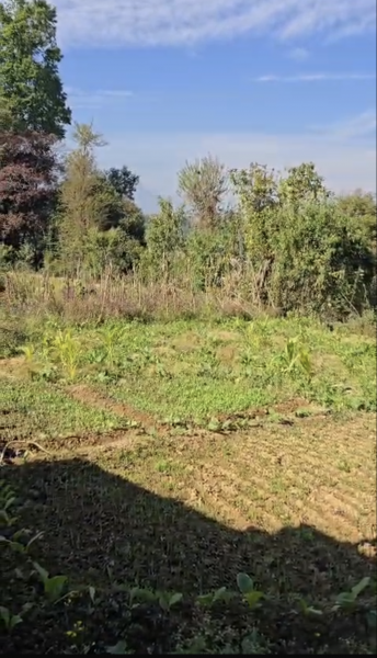 35 Aana for sale in Jharuwarashi 