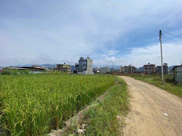 Land On Sale at Harisiddhi Gumbaj , Lalitpur