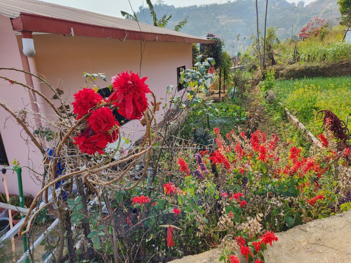 Beautiful 1 Story 5 Aana House with Mountain View in Bansbari, Dakshinkali for 1 Crore Only