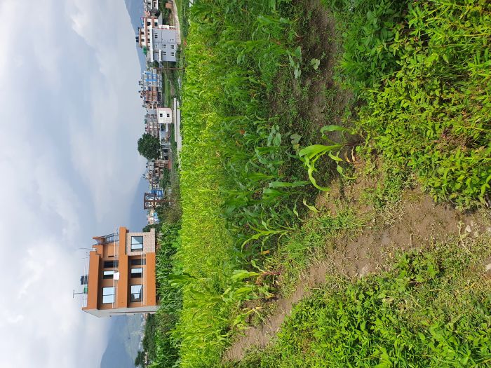 Beautiful land 3km from ringroad, at naikap