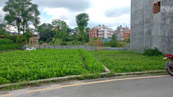 Land On Sale at Dhunchepakha, Bhaktapur