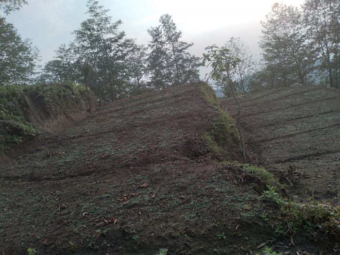 17 ropani land on sale at shivapuri peak baskote gau