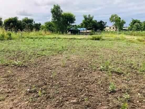 Land for sale in Bardibas-3  Mahottari