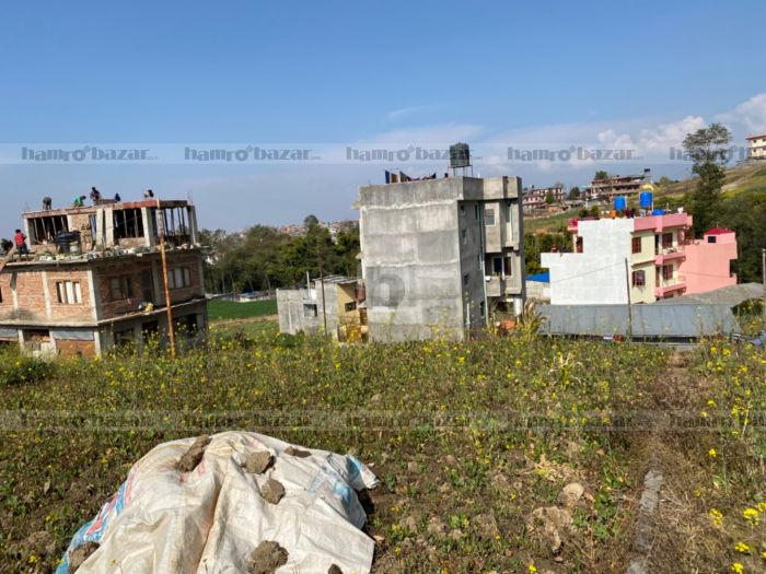 Land for Sale in Lamatar Land for Sale in Lamatar