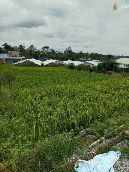 Land On Sale at Lubhu, Lalitpur