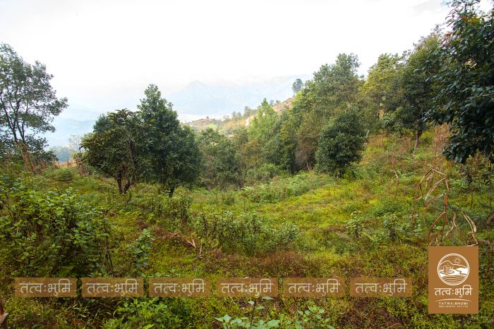 4 Ropani Land On Sale at KhariBhanjyang , Nuwakot.