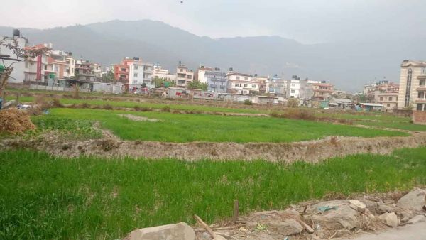 Land On Sale at Pasikot, Kathmandu