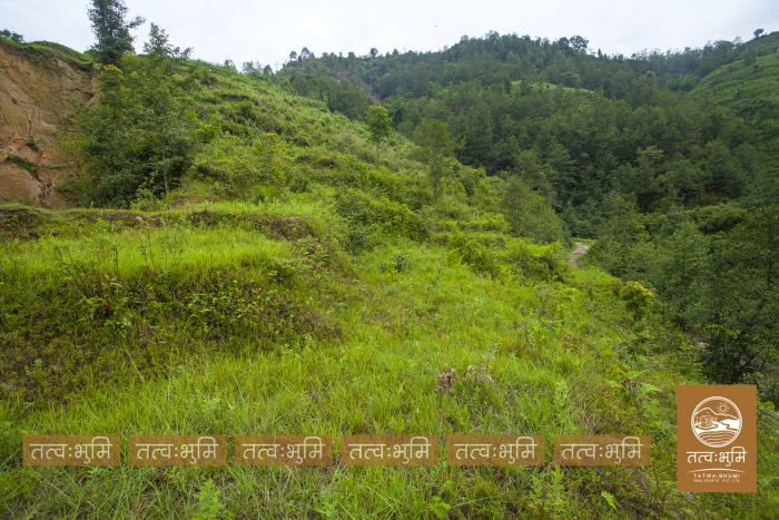 20 Ropani land on sale at Narayanthan - Nuwakot