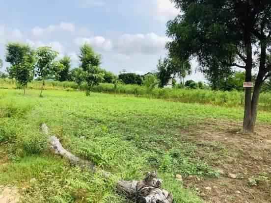 Land for sale in Bardibas-3  Mahottari
