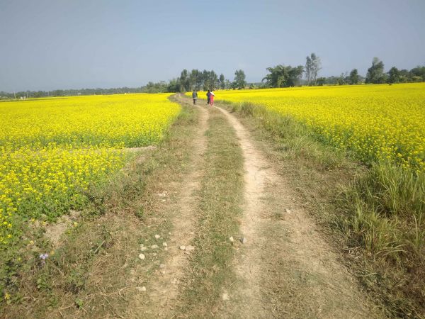 Residential/Farming Land for Sale | Sapahi–7, Bara