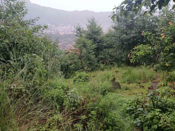 Land on Sale in Budhanilkantha Bisnu Height