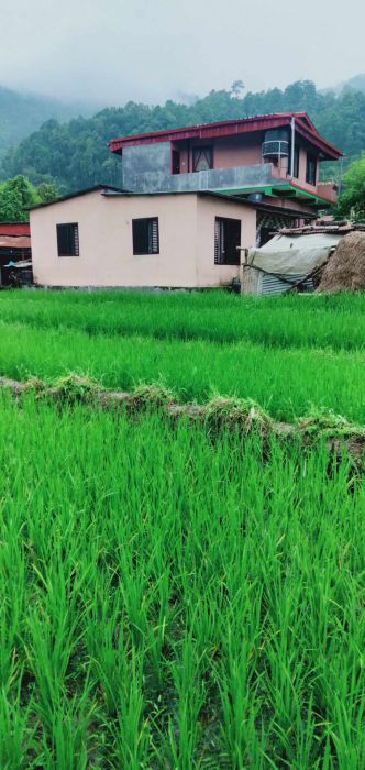 Land on sale in lamjung bhotewodar sudarbazar 8 muncipality