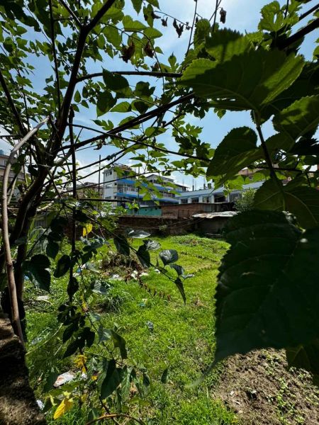 2 Ropani Land on Rent at Maharajgunj 