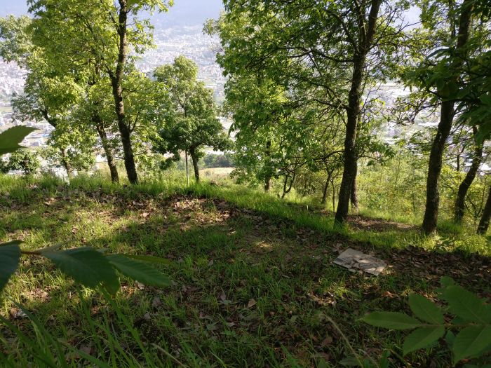 Land on sale at Dahachowk