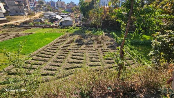 Land for sale at Thecho, Dhapakhel