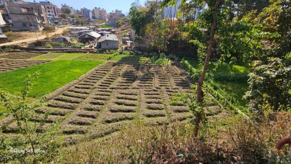 Land for sale at Thecho, Dhapakhel