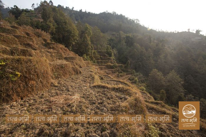6 Ropani land on sale at Narayanthan - Nuwakot