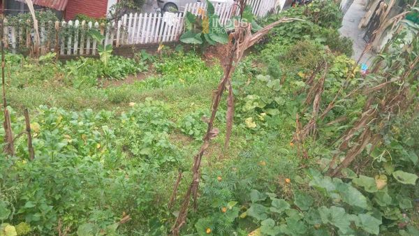 Land on sale at Harisiddhi, Lalitpur Land on sale at Harisiddhi, Lalitpur