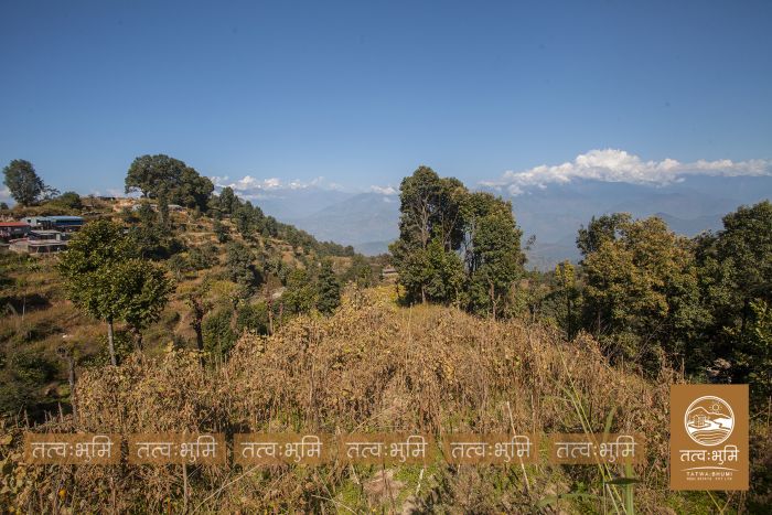 7 Ropani Highway Touched land Sale in 35 Kilo.