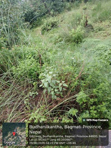 Land on Sale in Budhanilkantha Bisnu Height
