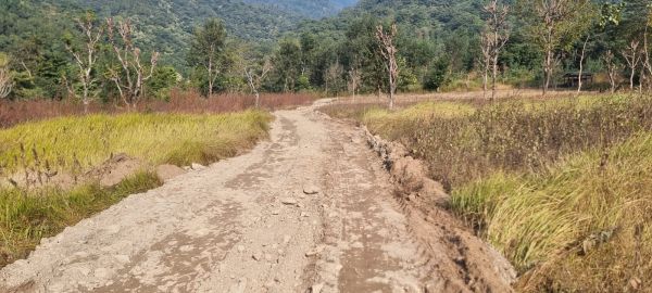 COMMERCIAL/AGRICULTIRAL LAND ON SALE