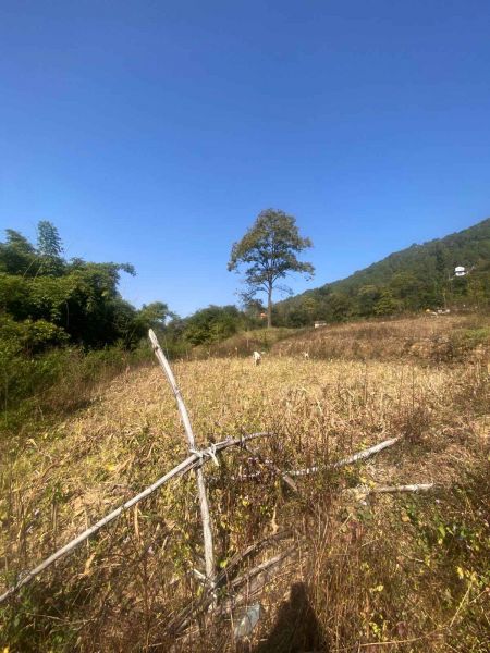 Land On Sale At Badikhel bus park