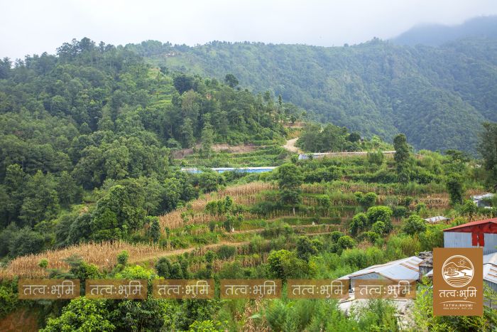 7 Ropani Highway Touched land Sale in 35 Kilo.