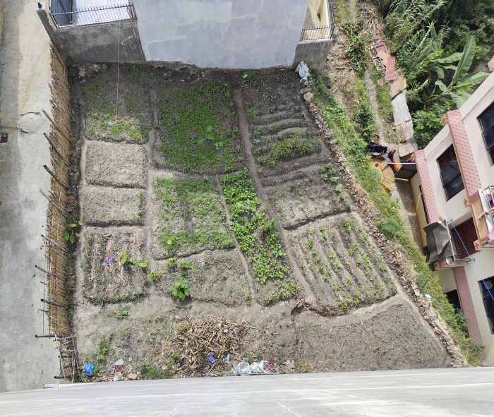 LAND FOR SALE IN BALAJU