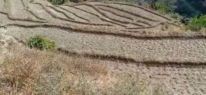 dhan khet 1lakh 50 hajar prati ropani
