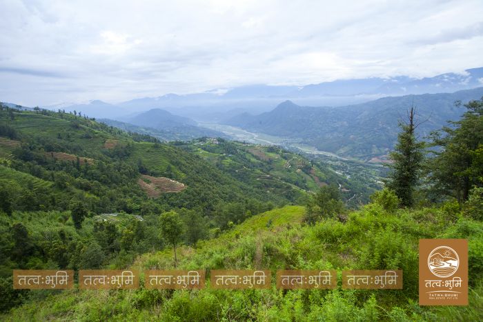 20 Ropani land on sale at Narayanthan - Nuwakot