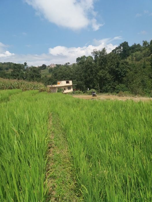 Land for sale in kathmandu