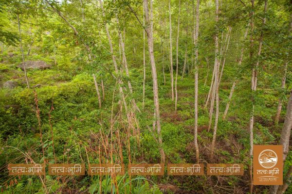 5 Ropani land for sale in Ranipauwa - Nuwakot