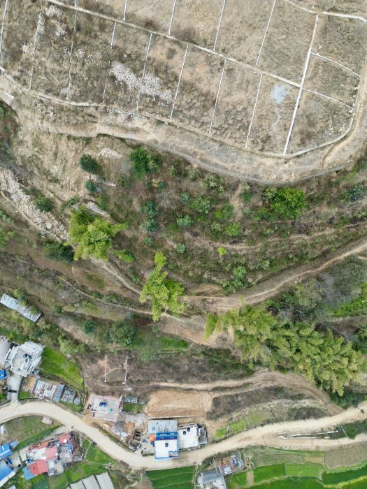 Plotting land on sale at Nangkhel