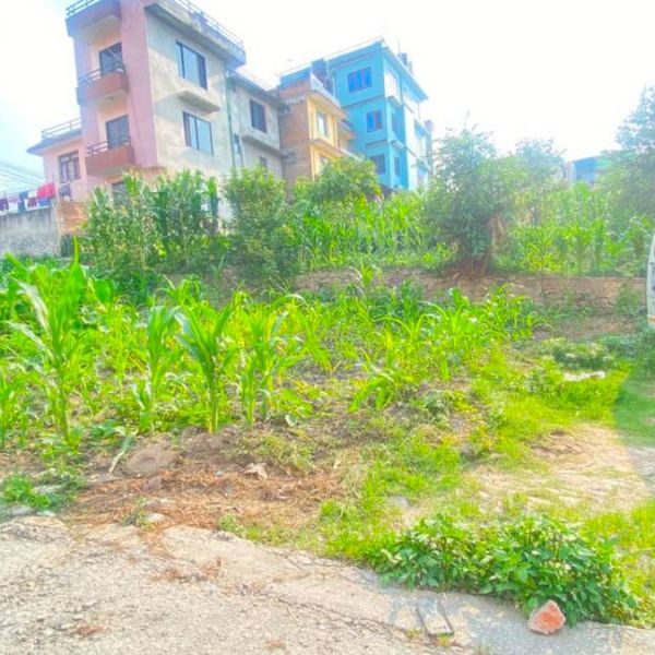 Land on sale = Balkot Brishaspati marga