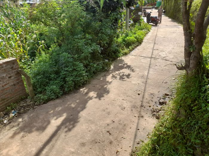 Land on Sale in Chandragiri (Near Cable Car Station)