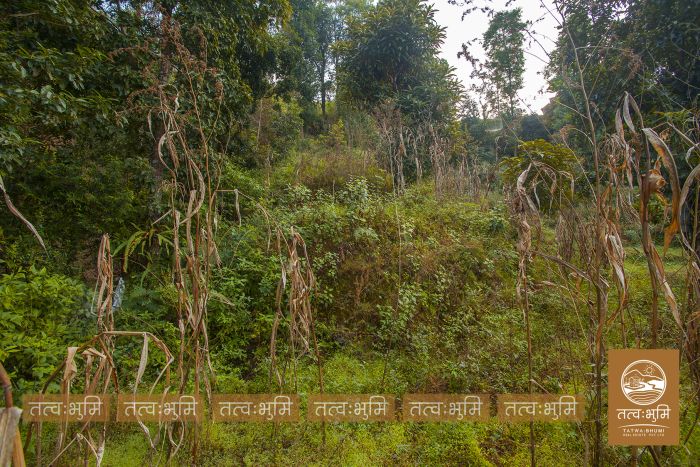 4 Ropani Land On Sale at KhariBhanjyang , Nuwakot.