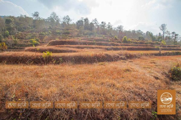 13 Ropani land for sale in Kamchok - Nuwakot 13 Ropani land for sale in Kamchok - Nuwakot
