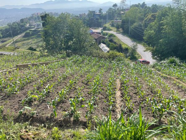 Commercial land on sale touched by Manjhushree road