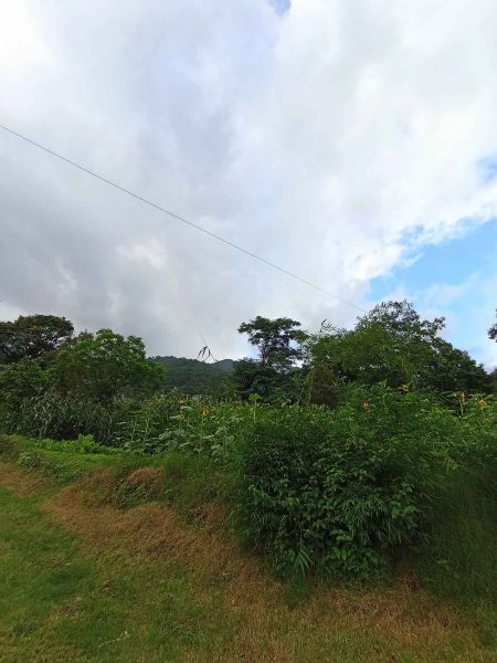 land on sale at budhanilkantha