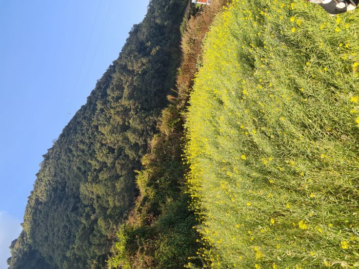 Land sale in Matatirtha, Kathmandu