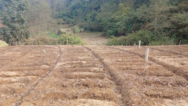 Land For Sale near Ashapuri Temple Suryabinayak